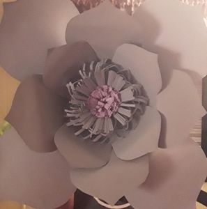 Meet your Posher, Judith